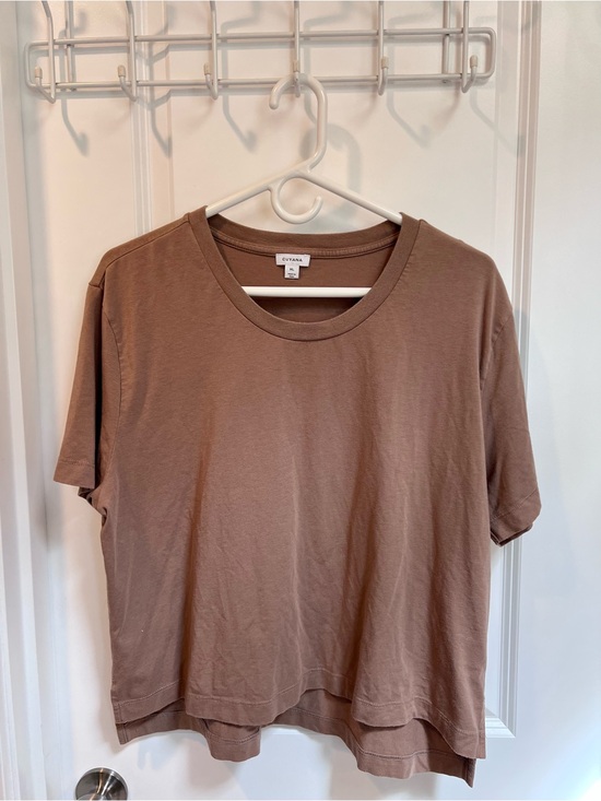 Cuyana Tops - Cuyana Women’s Taupe Brown Boxy Crewneck Tee XL